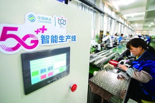 金華市第七次人口普查數(shù)據(jù)揭示城市發(fā)展新趨勢